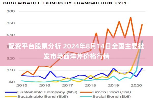 配资平台股票分析 2024年8月14日全国主要批发市场西洋芹价格行情