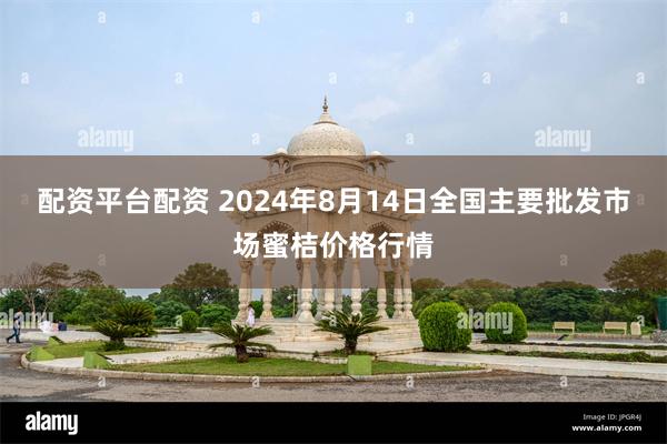 配资平台配资 2024年8月14日全国主要批发市场蜜桔价格行情