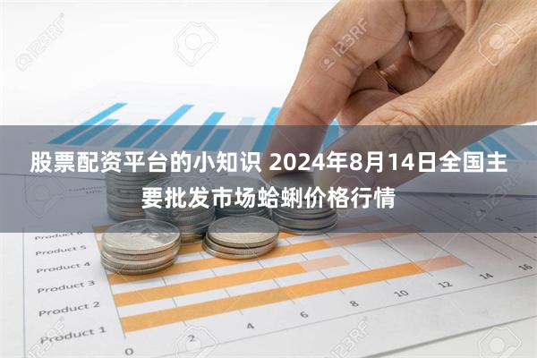 股票配资平台的小知识 2024年8月14日全国主要批发市场蛤蜊价格行情