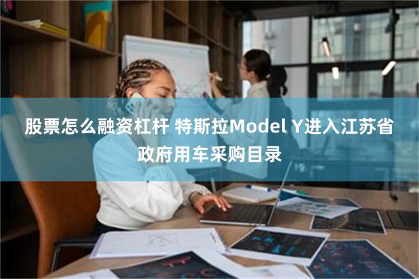 股票怎么融资杠杆 特斯拉Model Y进入江苏省政府用车采购目录