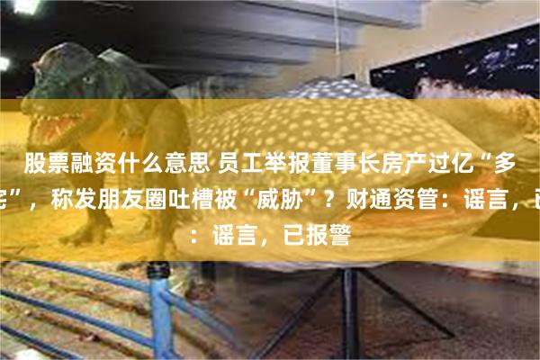 股票融资什么意思 员工举报董事长房产过亿“多套豪宅”，称发朋友圈吐槽被“威胁”？财通资管：谣言，已报警