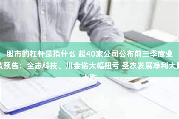 股市的杠杆是指什么 超40家公司公布前三季度业绩预告：全志科技、川金诺大幅扭亏 圣农发展净利大跌