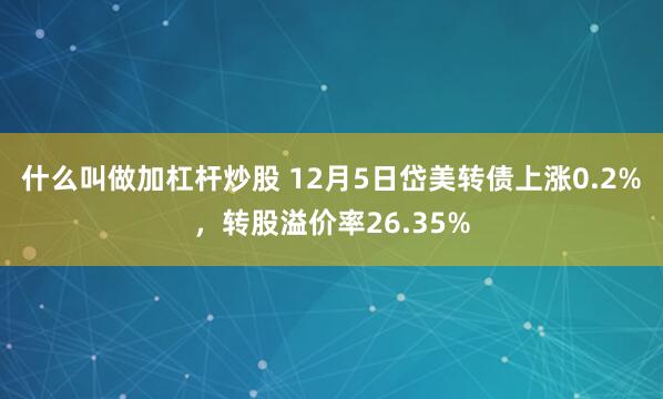 什么叫做加杠杆炒股 12月5日岱美转债上涨0.2%，转股溢价率26.35%