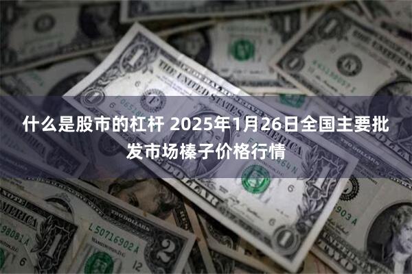 什么是股市的杠杆 2025年1月26日全国主要批发市场榛子价格行情