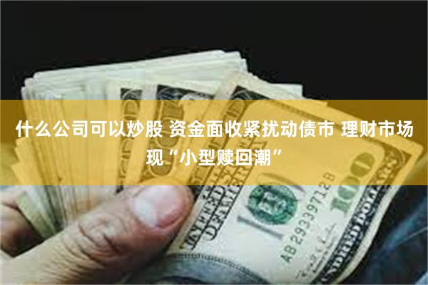 什么公司可以炒股 资金面收紧扰动债市 理财市场现“小型赎回潮”