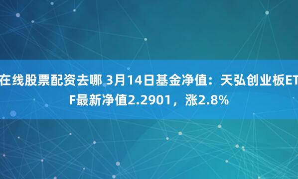 在线股票配资去哪 3月14日基金净值：天弘创业板ETF最新净值2.2901，涨2.8%