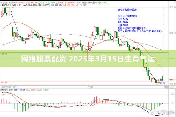 网络股票配资 2025年3月15日生肖气运